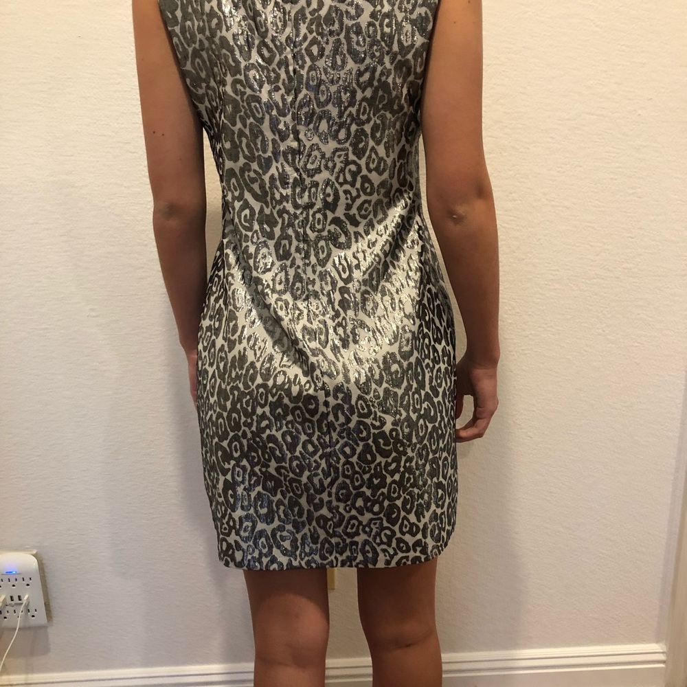 Silver cheetah dress